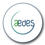 Aedes